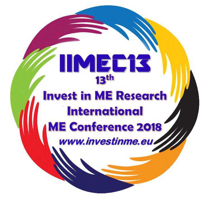 IIMEC13 Logo
